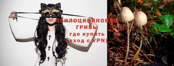 a pvp Няндома