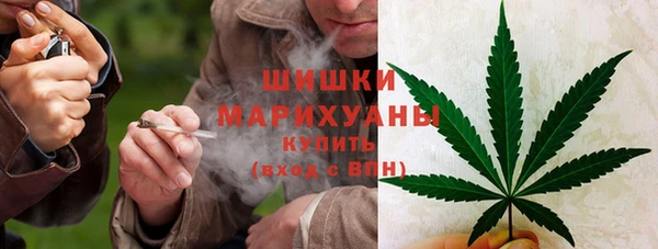 стаф Янаул