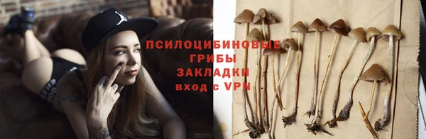 твердый Щучье