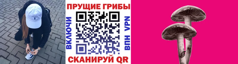 kraken вход Холм Галлюциногенные грибы MAGIC MUSHROOMS